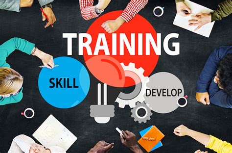 Invest in Training and Development